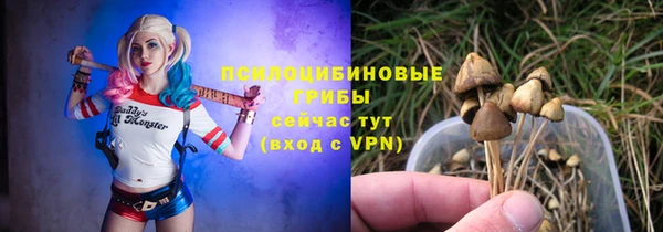 дурь Киров