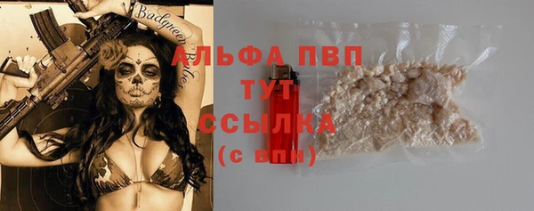молекула духа Козельск