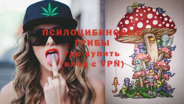 ALPHA-PVP Краснослободск