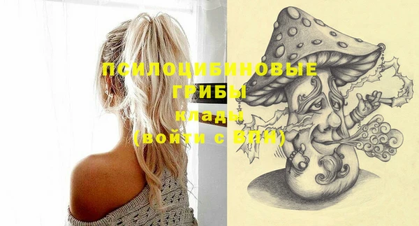 прущий лед Козловка