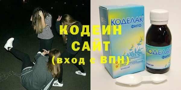 молекула духа Козельск